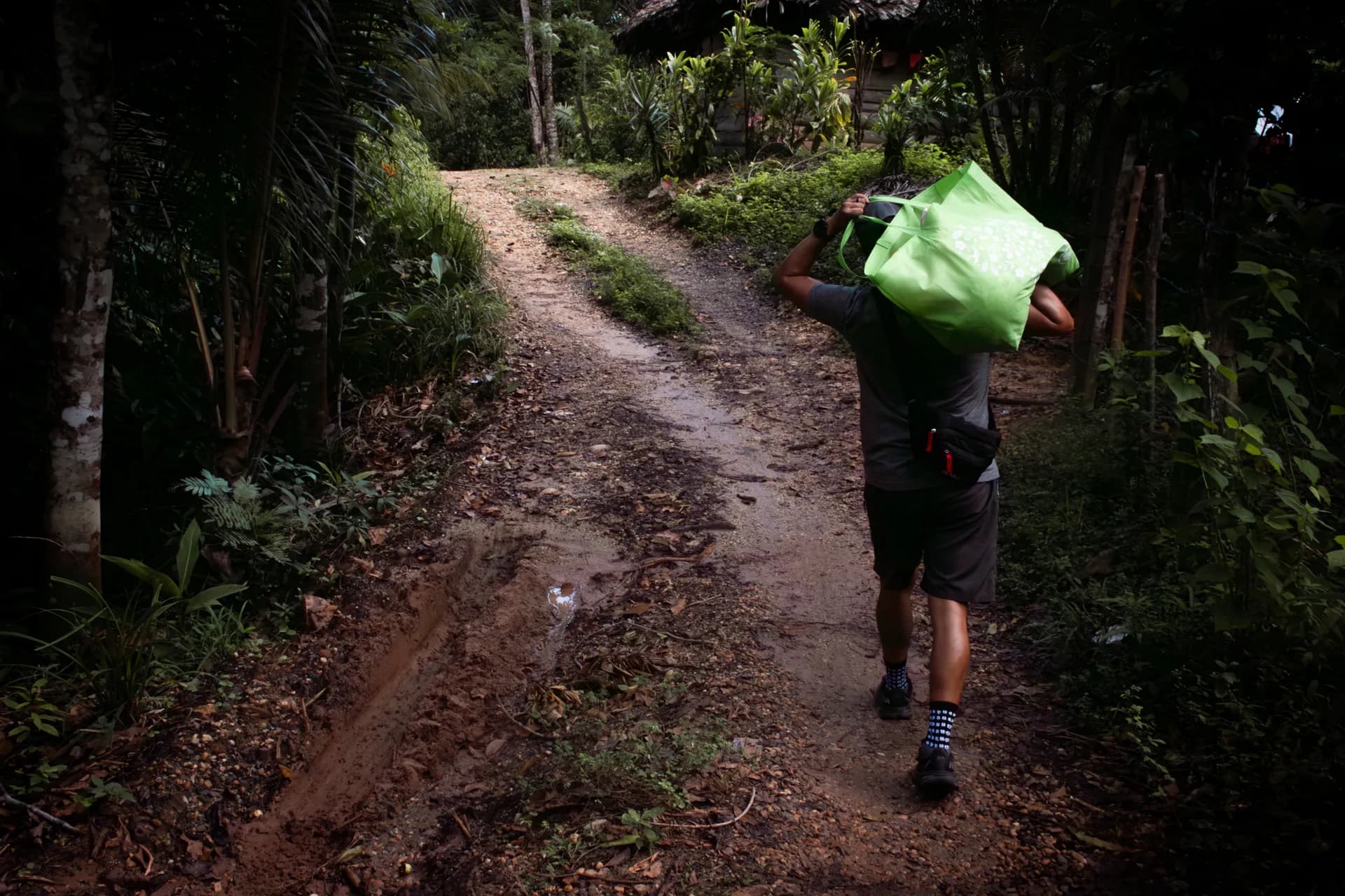 A volunteer carries a food bag along a forest path in Guatemala.