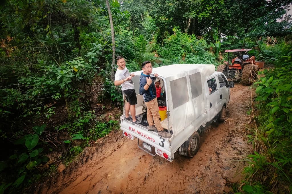 An El Faro truck travels along a forest road.