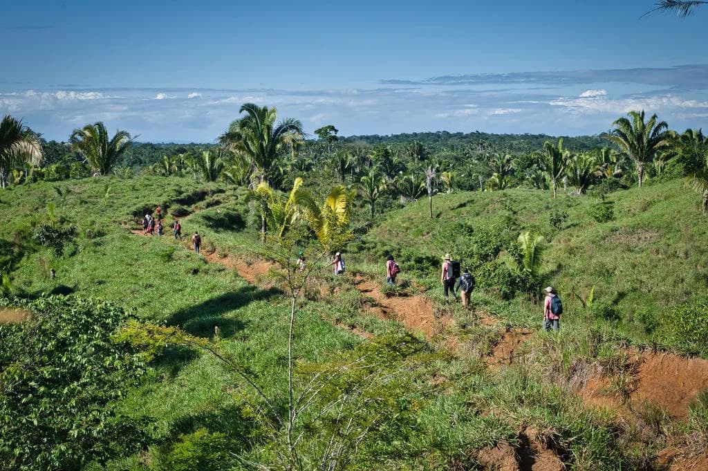 A green rural landscape in Río Salado.